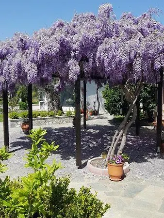 Edem Garden Lejlighed