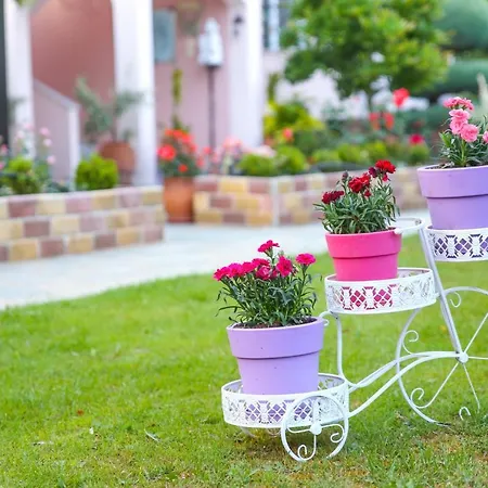 Edem Garden Apartment